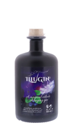 Image de Illugin Blueberry 40° 0.5L
